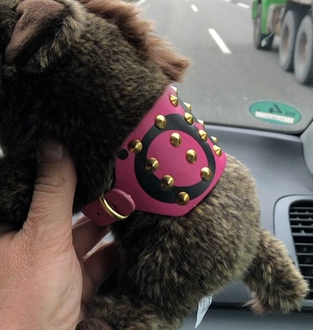 Instagram: „Die „Sau“ heute zum ersten Mal mit auf Tour! #festvorglüh…“