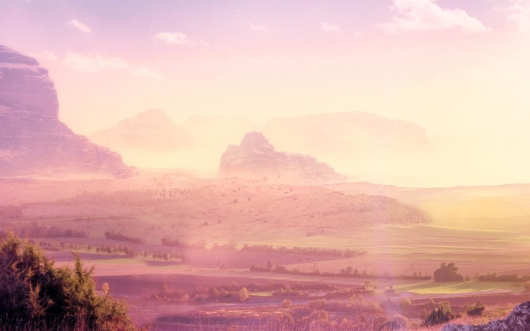 Instagram: Planet Pink! 😎Am 15.04. erscheint das Album!