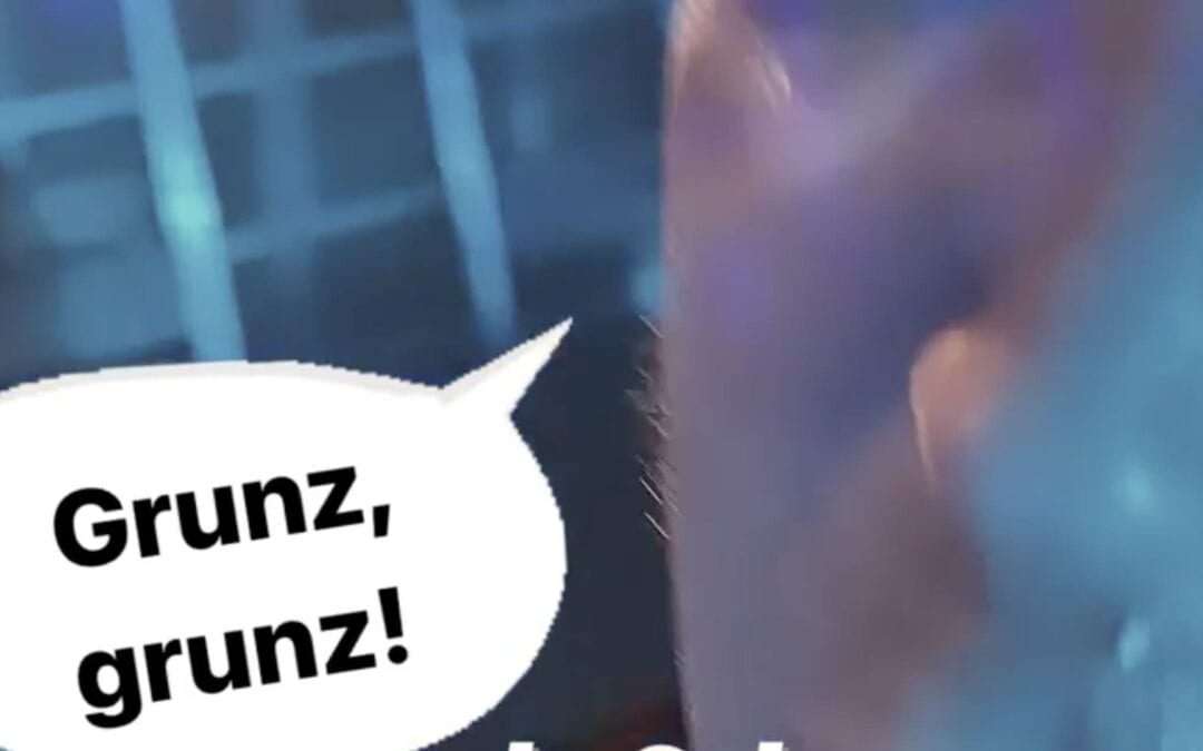 Instagram: Das gibt einen ordentlichen Eintrag ins Klassenbuch…